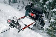 snowinch3.jpg