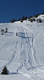 valemount_09 048.jpg