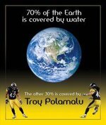 Polamalu_Earth_resize.jpg