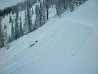 snowmobiling liberty 002.jpg