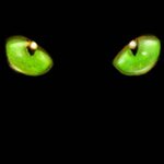 cateye-green.jpg