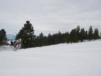 WINTER 2009 024.jpg