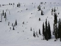 WINTER 2009 005.jpg