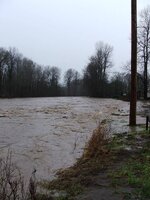 flooding 09 036.jpg