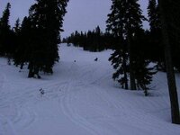 sleding pics 013.jpg