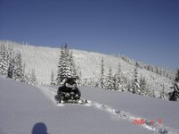 nice untracked snow!.jpg