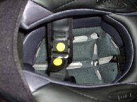 gmax inside (Small).jpg