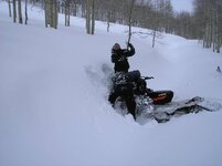 sleds 023.jpg