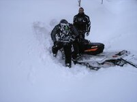 sleds 024.jpg