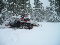 pics of riding 1-21-08 001.jpg