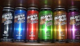 phoca_thumb_l_Beaver%20Buzz[1].jpg