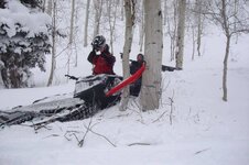 Sleddin 09 026.jpg