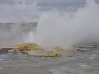 Cal_trip Oct_2009 011Small geyser_resize.jpg