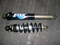 FoxShox.jpg