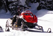 08sled.jpg