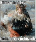 hitman-monkey.jpg