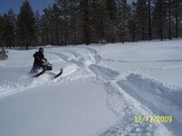 Mammoth 030.jpg