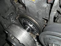 roached clutch 2.jpg