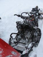 Sled haul out 011.jpg