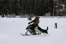 Eiko running with JR120.JPG