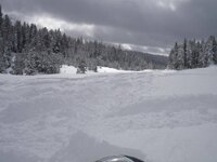 Snowy's Feb 2009 021.jpg