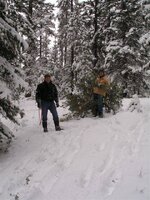 Christmas Tree Hunt small 12.JPG