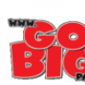 GoBigParts