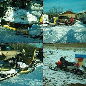 My sleds