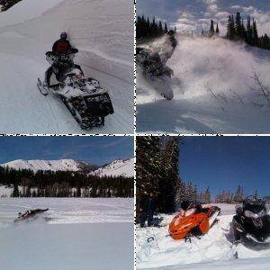 Sleddin 07