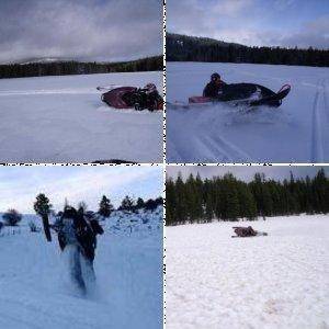 Sled Shots!!!