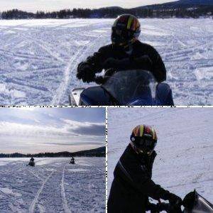 My sleds