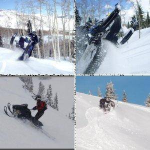 Random Sled Pic's