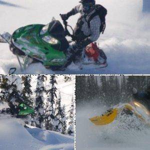 sleds