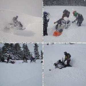 Snowies 2010