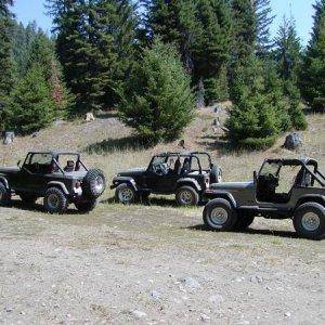 A family full of Jeeps