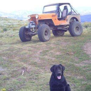 My Jeep and my Black Lab "Buddy"