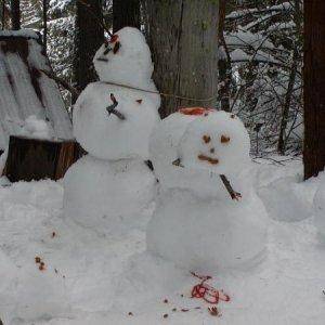 snowman assassination group