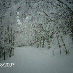 cool pic for a trail