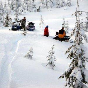 McLaughlin Ridge, Vancouver Island
Stuck going downhill?