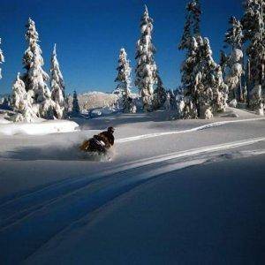 McLaughlin Ridge, Vancouver Island
Fresh pow