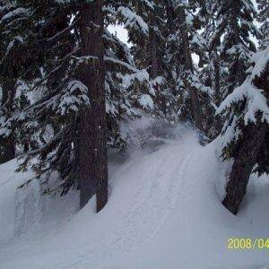 Sonar on, Danny Woods trail.