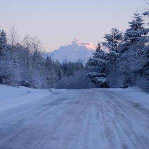 Blue bird, Mt. Shuksan