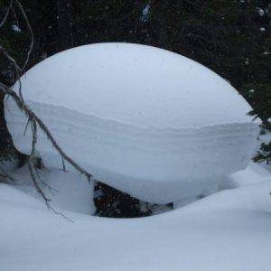 Snow Sittin On a stump