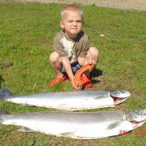 hayden displaying daddies limit of summer steelhead