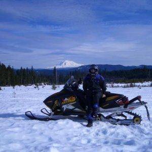 On St. Helens with Adams in the background