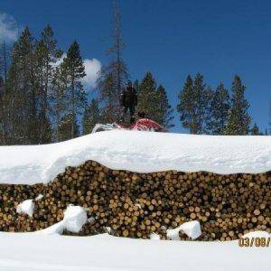 Little log pile