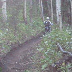 More AF Single Track