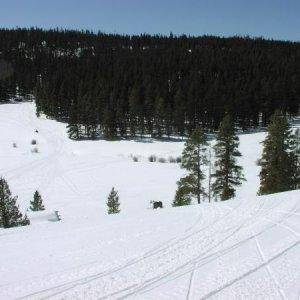 Great place to horse around. Mostly novice stuff but some fun creek beds and hills. The Medicine Bow is about 90 miles from our house. We can go every