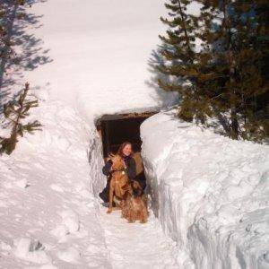 Tunneled in to the harmony hut..........