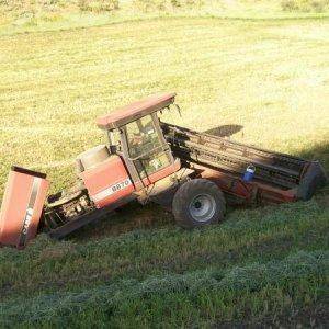 shawns swather 030